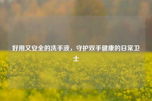 好用又安全的洗手液,守护双手健康的日常卫士