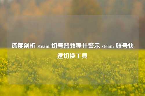 深度剖析 steam 切号器教程并警示 steam 账号快速切换工具