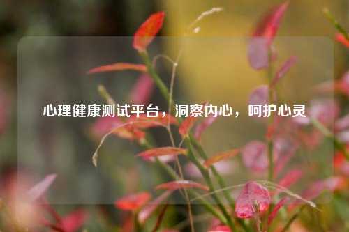 心理健康测试平台,洞察内心,呵护心灵