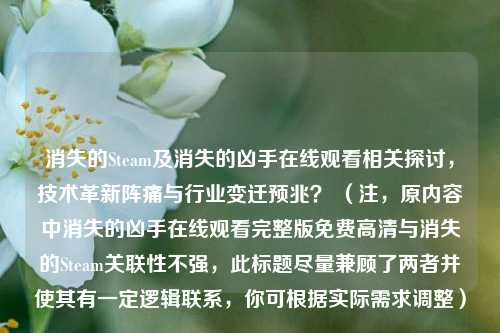 消失的Steam及消失的凶手在线观看相关探讨,技术革新阵痛与行业变迁预兆? (注,原内容中消失的凶手在线观看完整版免费高清与消失的Steam关联性不强,此标题尽量兼顾了两者并使其有一定逻辑联系,你可根据实际需求调整)
