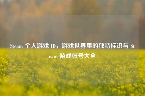 Steam 个人游戏 ID,游戏世界里的独特标识与 Steam 游戏帐号大全