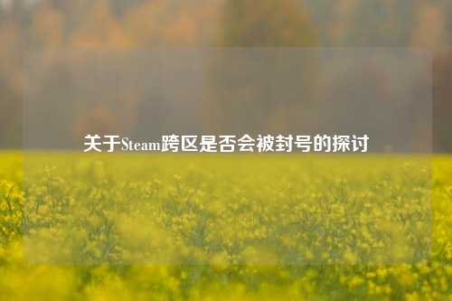 关于Steam跨区是否会被封号的探讨
