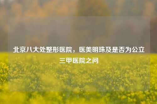 北京八大处整形医院,医美明珠及是否为公立三甲医院之问