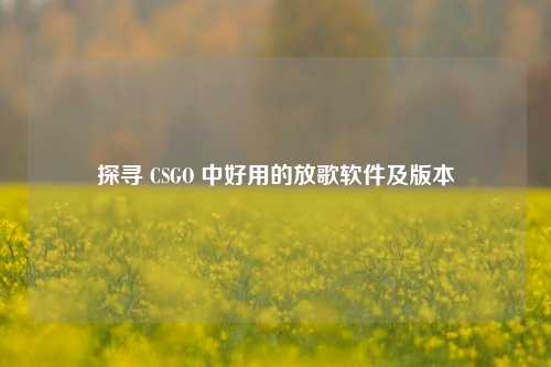 探寻 CSGO 中好用的放歌软件及版本