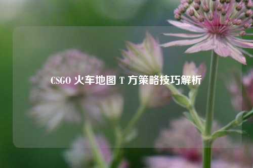 CSGO 火车地图 T 方策略技巧解析