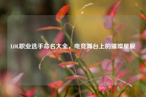 LOL职业选手命名大全，电竞舞台上的璀璨星辰