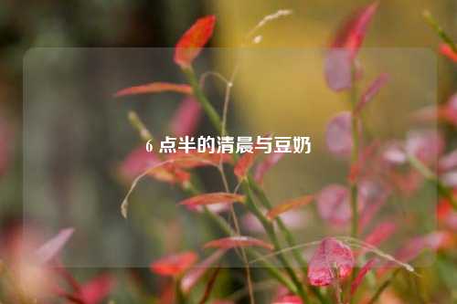 6 点半的清晨与豆奶