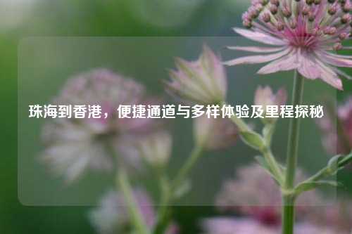 珠海到香港,便捷通道与多样体验及里程探秘