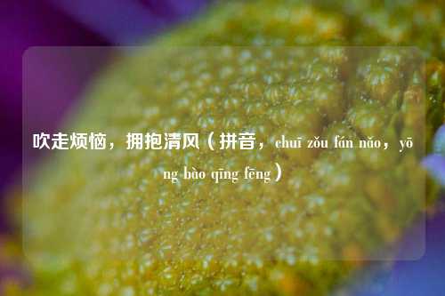 吹走烦恼,拥抱清风(拼音,chuī zǒu fán nǎo,yōng bào qīng fēng)