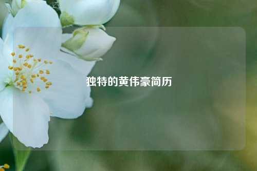 独特的黄伟豪简历
