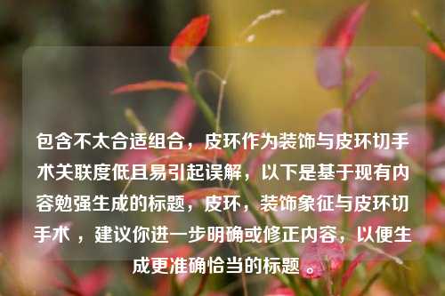 包含不太合适组合,皮环作为装饰与皮环切手术关联度低且易引起误解,以下是基于现有内容勉强生成的标题,皮环,装饰象征与皮环切手术 ,建议你进一步明确或修正内容,以便生成更准确恰当的标题 。