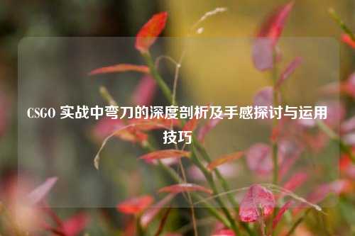 CSGO 实战中弯刀的深度剖析及手感探讨与运用技巧
