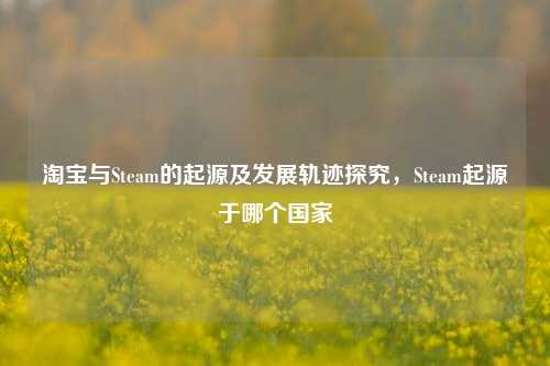 淘宝与Steam的起源及发展轨迹探究,Steam起源于哪个国家