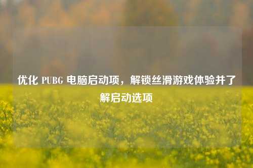 优化 PUBG 电脑启动项，解锁丝滑游戏体验并了解启动选项