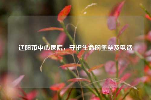 辽阳市中心医院,守护生命的堡垒及电话