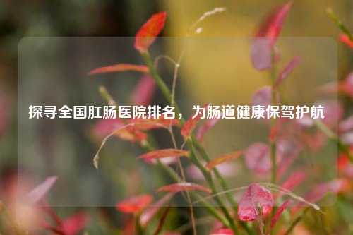 探寻全国肛肠医院排名,为肠道健康保驾护航