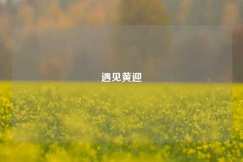 遇见黄迎