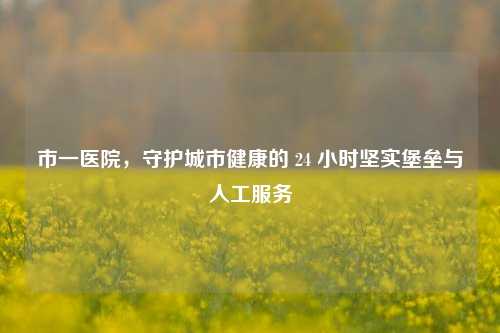 市一医院，守护城市健康的 24 小时坚实堡垒与人工服务