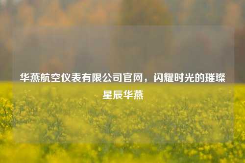 华燕航空仪表有限公司官网，闪耀时光的璀璨星辰华燕
