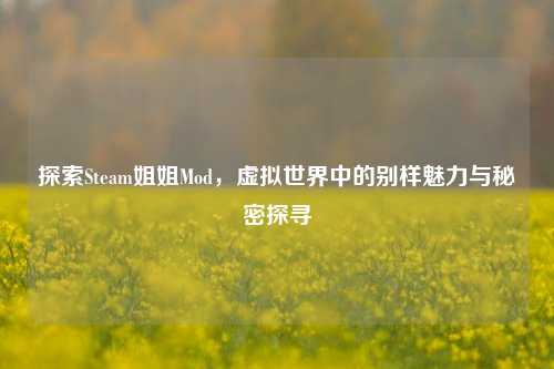 探索Steam姐姐Mod,虚拟世界中的别样魅力与秘密探寻