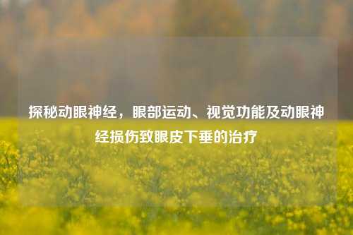 探秘动眼神经,眼部运动、视觉功能及动眼神经损伤致眼皮下垂的治疗