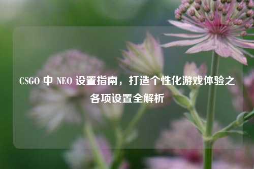 CSGO 中 NEO 设置指南,打造个性化游戏体验之各项设置全解析