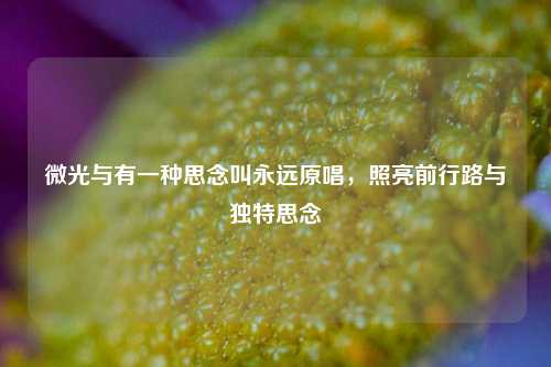 微光与有一种思念叫永远原唱,照亮前行路与独特思念