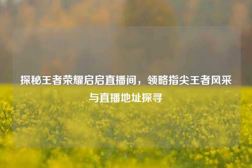 探秘王者荣耀启启直播间,领略指尖王者风采与直播地址探寻