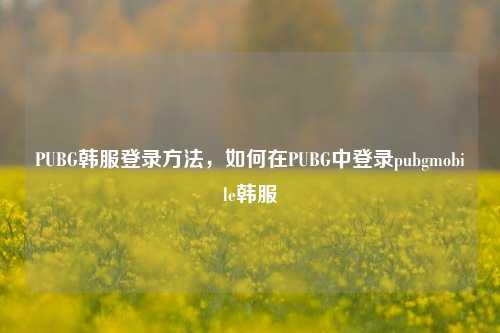 PUBG韩服登录方法，如何在PUBG中登录pubgmobile韩服