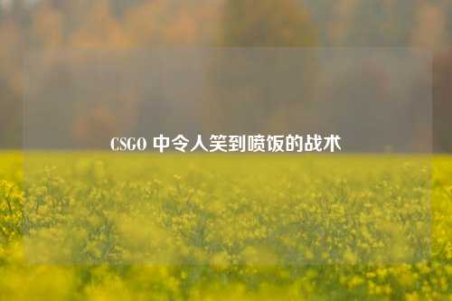 CSGO 中令人笑到喷饭的战术