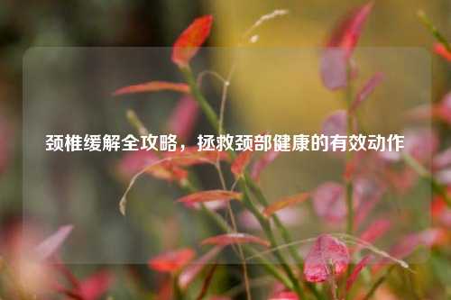 颈椎缓解全攻略,拯救颈部健康的有效动作