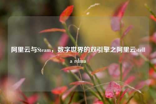 阿里云与Steam，数字世界的双引擎之阿里云stella rdma