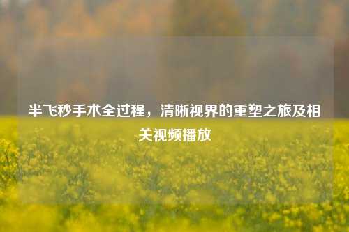 半飞秒手术全过程，清晰视界的重塑之旅及相关视频播放