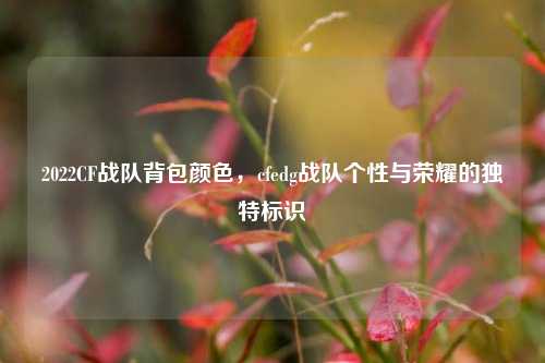 2022CF战队背包颜色,cfedg战队个性与荣耀的独特标识