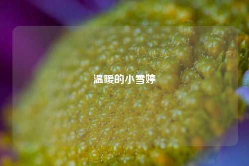 温暖的小雪婷