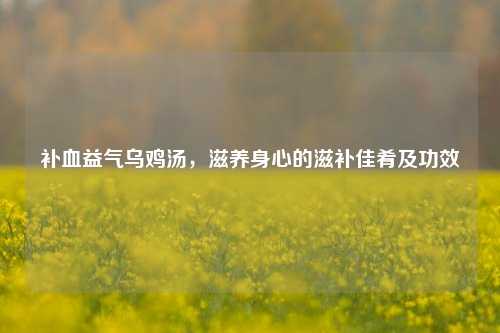 补血益气乌鸡汤，滋养身心的滋补佳肴及功效