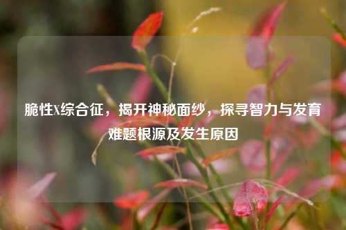 脆性X综合征,揭开神秘面纱,探寻智力与发育难题根源及发生原因