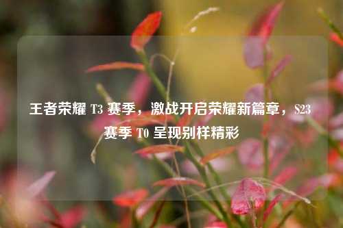 王者荣耀 T3 赛季，激战开启荣耀新篇章，S23 赛季 T0 呈现别样精彩