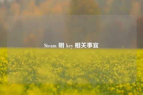 Steam 明 key 相关事宜