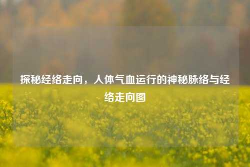 探秘经络走向,人体气血运行的神秘脉络与经络走向图