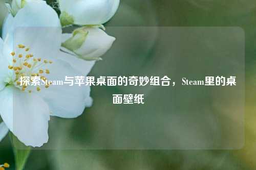 探索Steam与苹果桌面的奇妙组合,Steam里的桌面壁纸