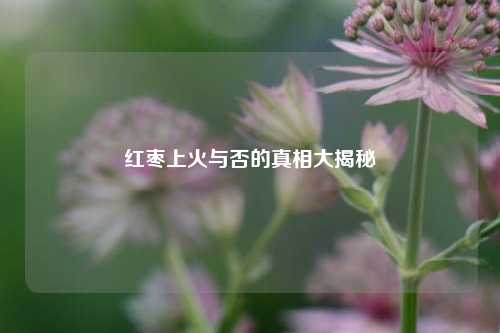红枣上火与否的真相大揭秘