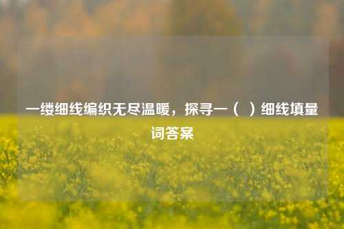 一缕细线编织无尽温暖，探寻一（ ）细线填量词答案