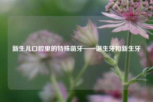 新生儿口腔里的特殊萌牙——诞生牙和新生牙