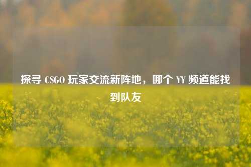 探寻 CSGO 玩家交流新阵地,哪个 YY 频道能找到队友