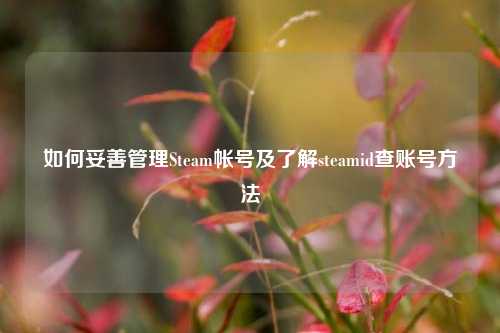 如何妥善管理Steam帐号及了解steamid查账号方法
