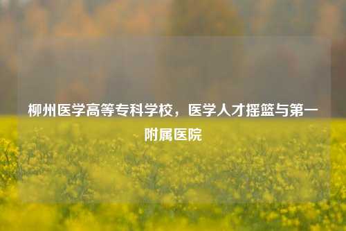 柳州医学高等专科学校，医学人才摇篮与第一附属医院