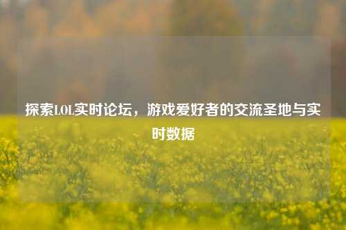 探索LOL实时论坛，游戏爱好者的交流圣地与实时数据