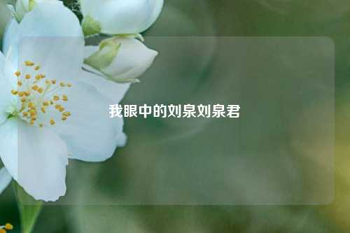 我眼中的刘泉刘泉君