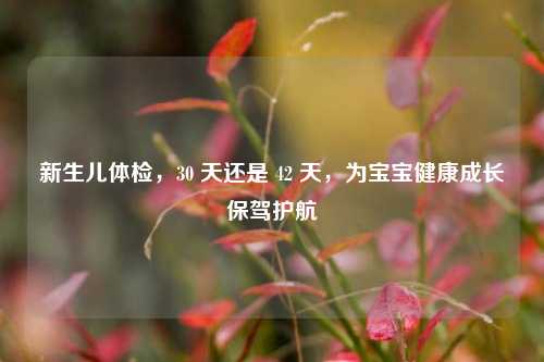 新生儿体检，30 天还是 42 天，为宝宝健康成长保驾护航